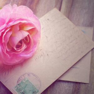 Elegant pink rose with postcards on rustic wooden surface, exuding romance.