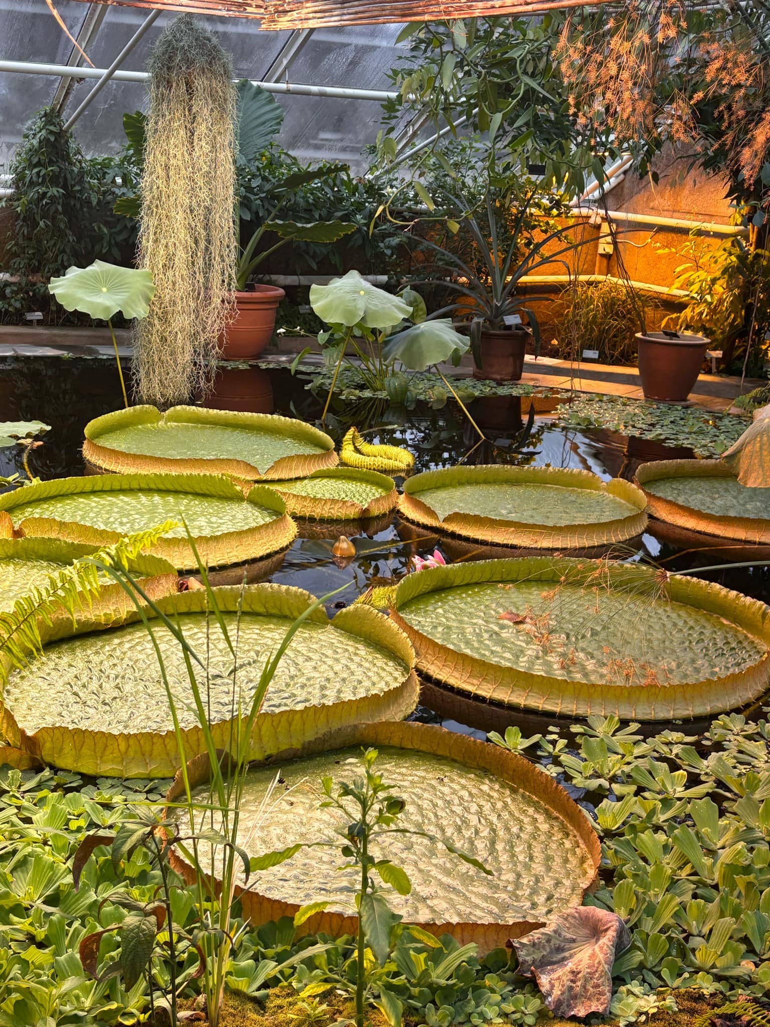 Märtsi kuu esimesel nädalal pakkisime asjad ning läksime uudistama Oslo linna. Kohale jõudes olime suhteliselt üllatunud, et nõnda palju erirahvusest inimesi ol